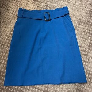 Banana Republic Vibrant Blue Pencil Skirt 10 tall